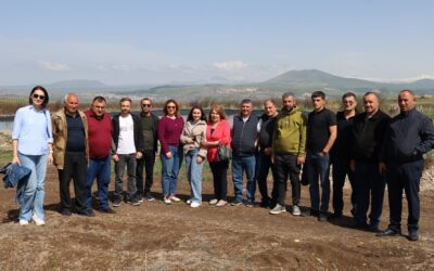 +IMG_3638