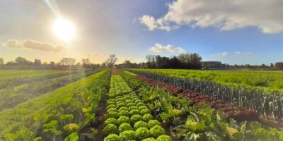 9692d1ab-1bd2-4504-a32e-1e366d95c8e5_CropMix aankondiging_098cd1c7