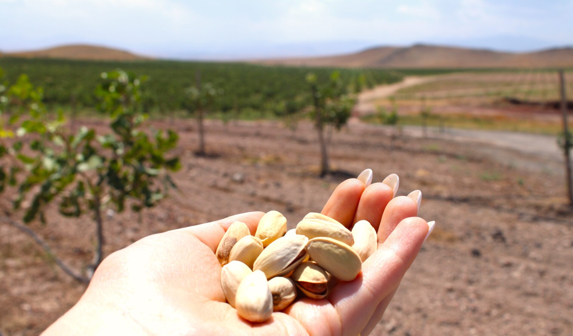 Dostimning onasi sikni sorayotganini onlayn tomosha qiling