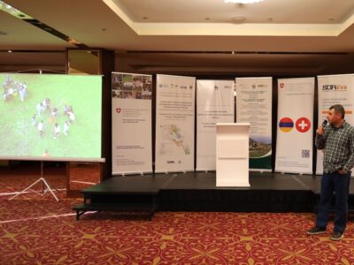 IMG_1935 copy